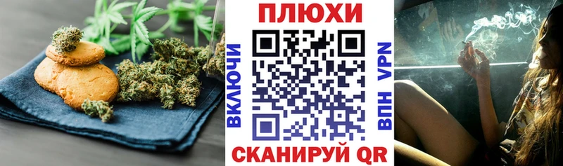 МЕГА вход  Новотитаровская  Canna-Cookies конопля  как найти наркотики 