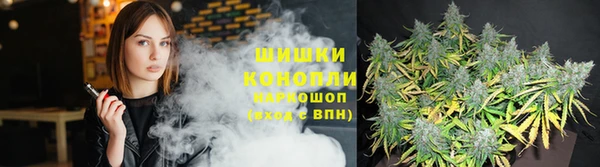 spice Абаза
