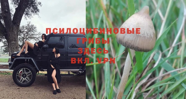 spice Абаза